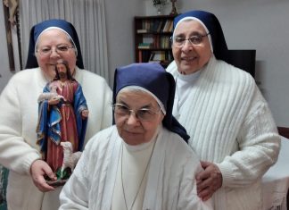 Somos la raíz del árbol para que dé frutos – Hnas del Buen Pastor