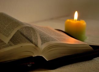 Día de la Vida Consagrada homilía