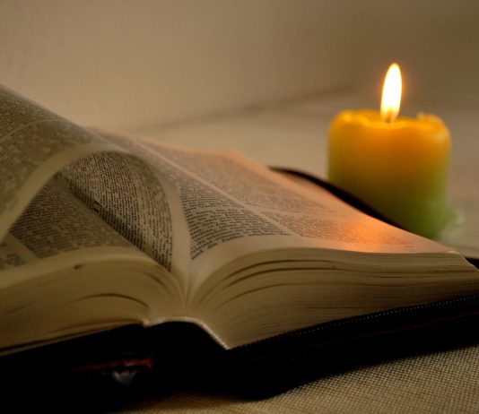 Ordenación Sacerdotal de Fabián Vega – Celebración y Homilía de Monseñor Braida homilía