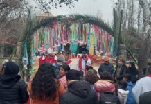 Jornada en Memoria del Beato Wenceslao Pedernera y Jubileo de las Familias Campesinas