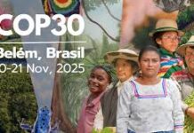 Somos guardianes de la creación