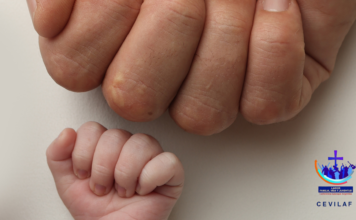 25 de marzo 2026: Solemnidad de la Anunciación Y Día del niño por nacer