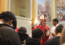 Séptimo aniversario de la beatificación: “Los mártires iluminan nuestras vocaciones”