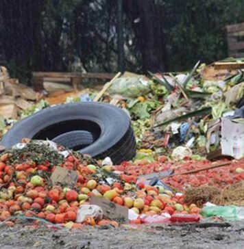 “Cuando la comida se desperdicia, algo de nosotros se descarta”